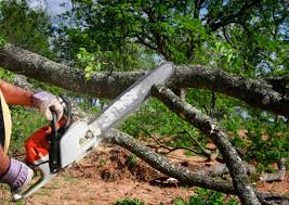 Best Weed Control  in Ceres, CA